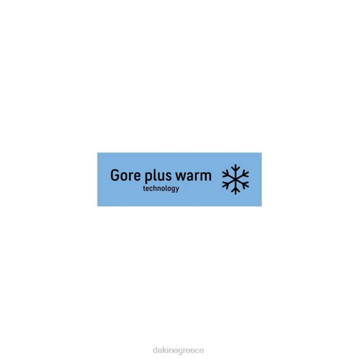 γρ Dakine γυναίκες galaxy gore-tex mitt τρυγόνι/πέτρα 4D06T839 αξεσουάρ