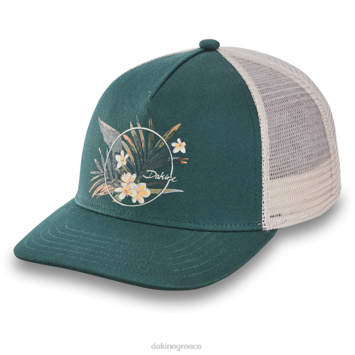 γρ Dakine γυναίκες καπέλο κοα φορτηγατζή βαθιά λίμνη 4D06T796 αξεσουάρ